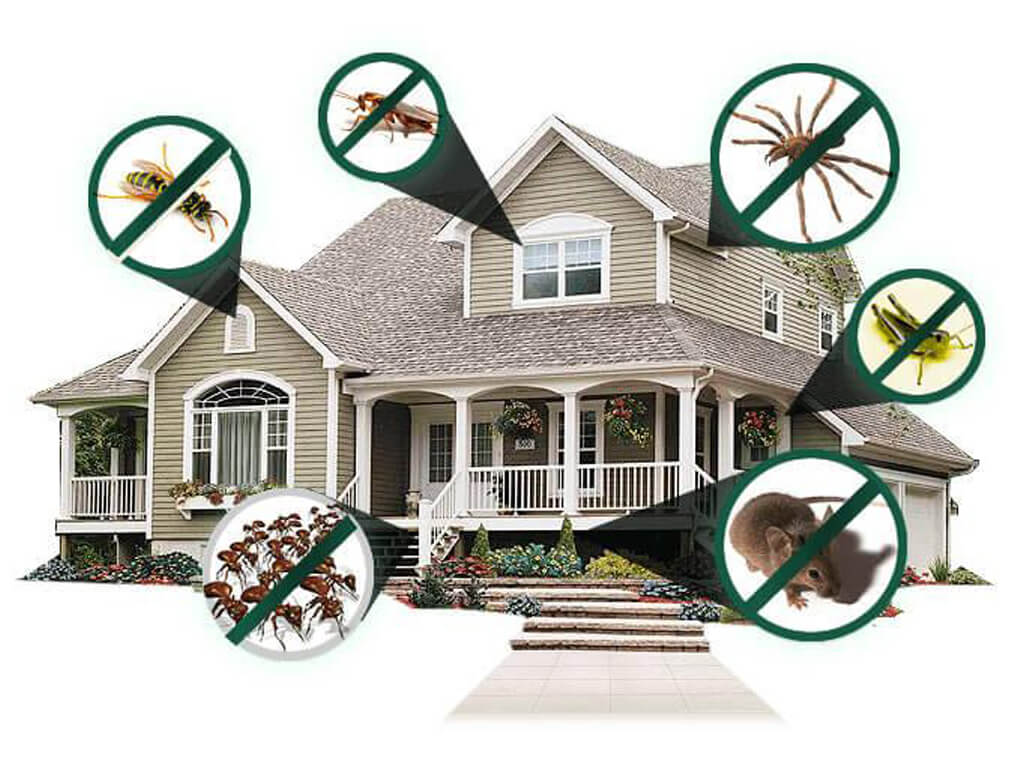 Raptor Pest Control Services