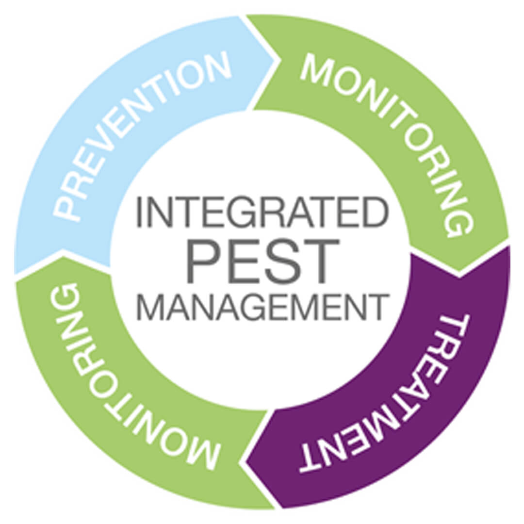 Raptor Pest Control